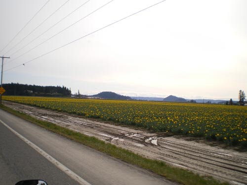 e0016845_14471711.jpg