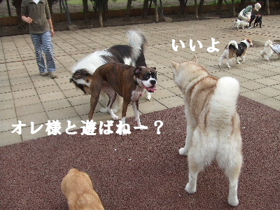 e0121548_22184125.jpg