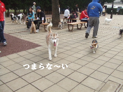 e0121548_22193811.jpg