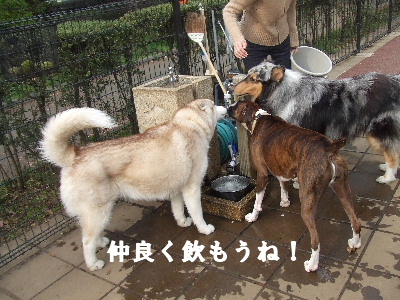 e0121548_2237097.jpg
