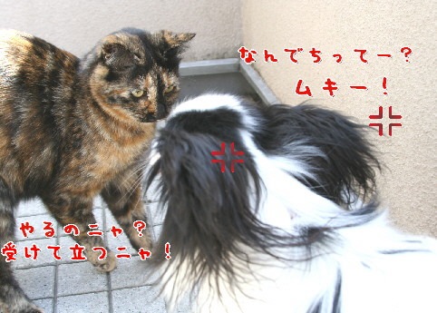 d0013149_8593181.jpg