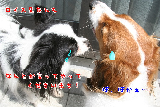 d0013149_915521.jpg