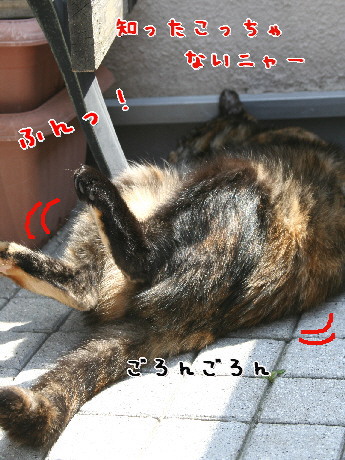 d0013149_933759.jpg