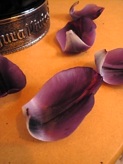 c0069552_21525153.jpg