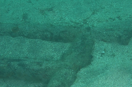 a0079659_20384772.jpg