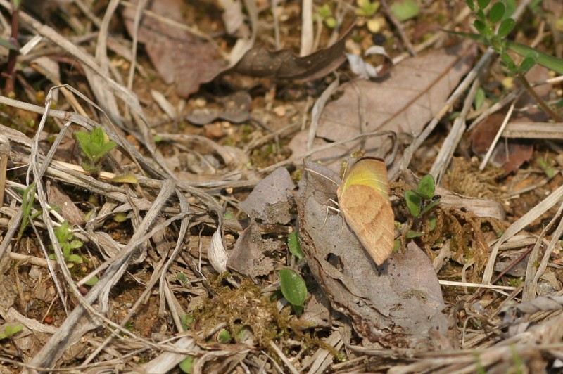 b0088772_20305434.jpg