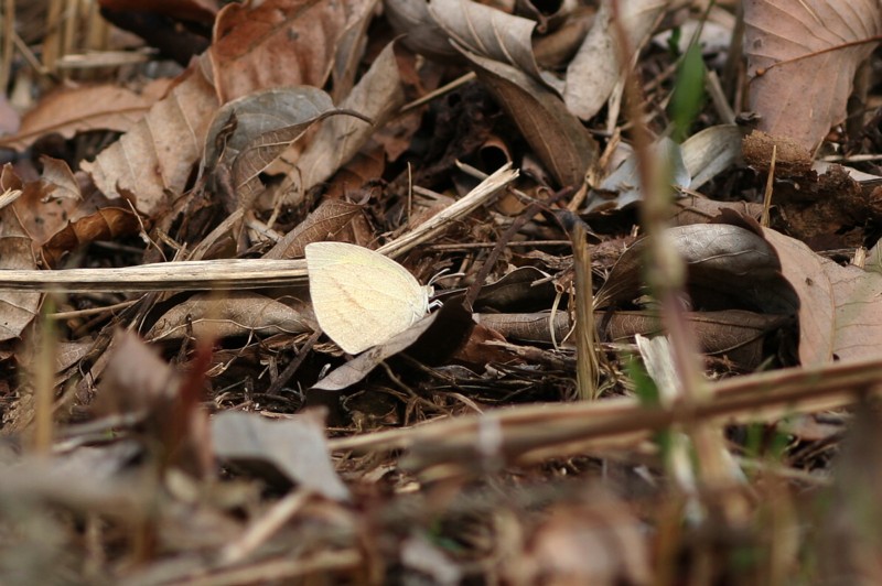 b0088772_2034339.jpg
