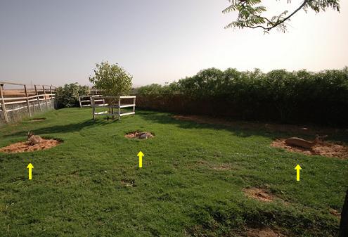 e0066474_045854.jpg
