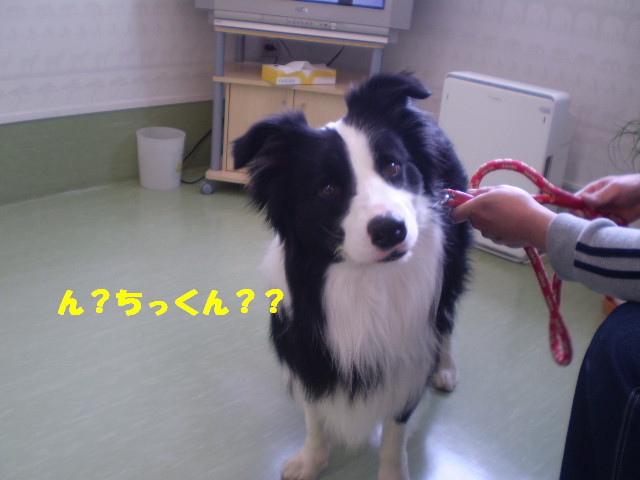 e0117976_2247262.jpg