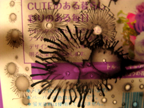b0129477_01119.jpg
