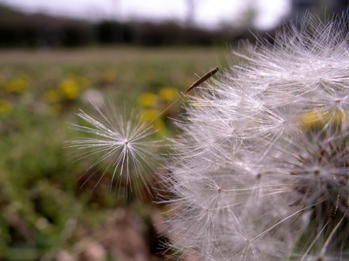 a0013879_22485225.jpg