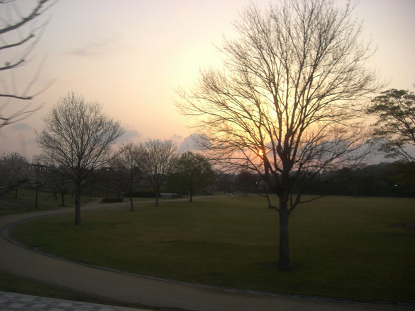 d0126580_17192697.jpg