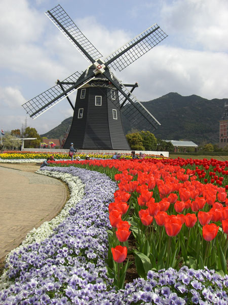 d0126580_1720139.jpg