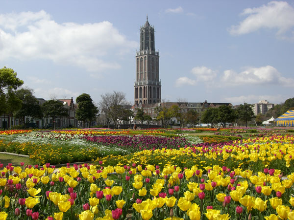 d0126580_17211681.jpg