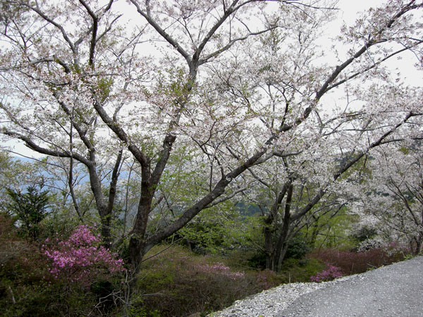d0126580_1795870.jpg