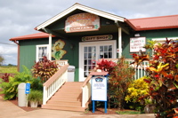 e0019280_2245255.jpg
