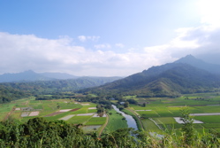 e0019280_252687.jpg
