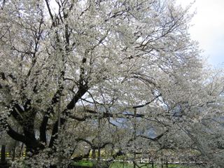 e0132881_13592014.jpg