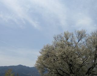 e0132881_1359350.jpg