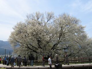 e0132881_14144936.jpg