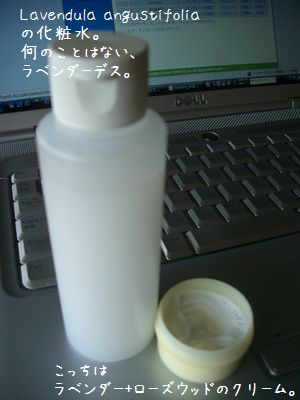 b0000885_11543195.jpg