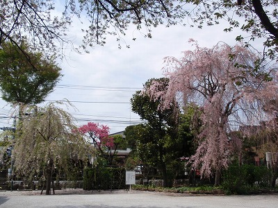c0105785_20102137.jpg