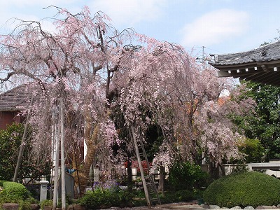c0105785_2043980.jpg