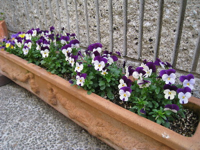 c0132387_102957.jpg