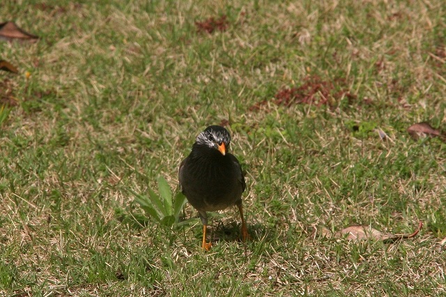 b0135889_186272.jpg