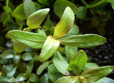 c0074591_20341814.jpg