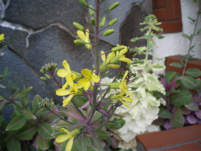 f0130894_21275829.jpg