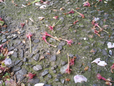 f0130894_21295418.jpg