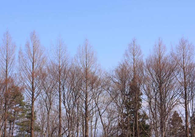 c0118496_18584411.jpg