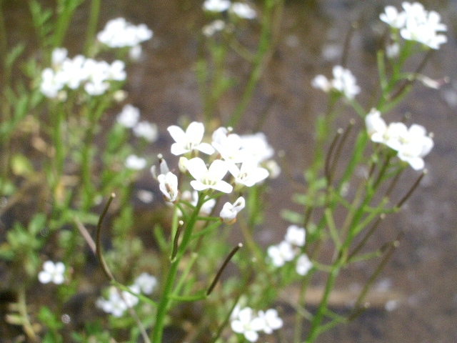 e0025300_11221983.jpg
