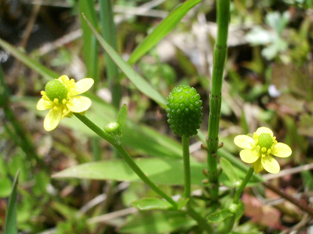 e0025300_11332410.jpg