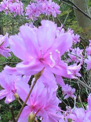 b0083902_23514048.jpg