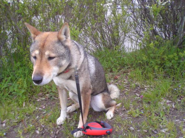 f0079202_20572011.jpg