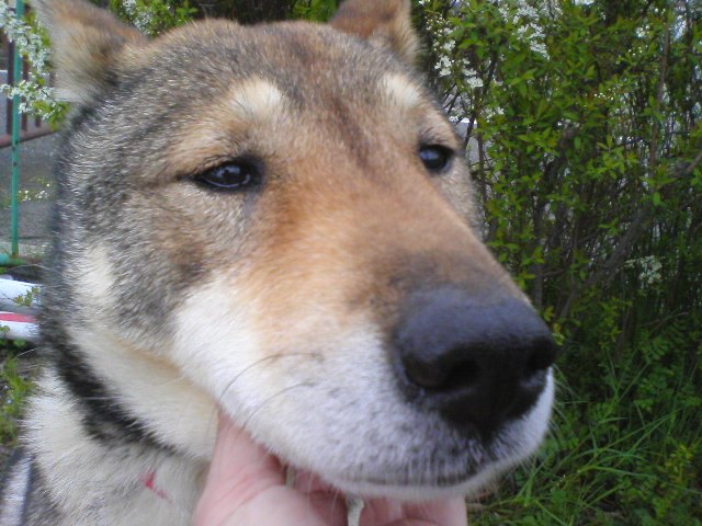 f0079202_20572036.jpg