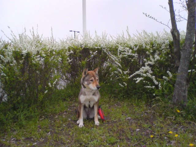 f0079202_20572070.jpg