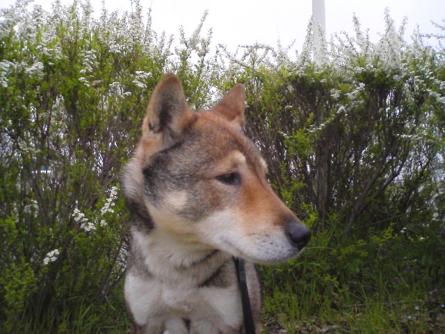 f0079202_20572080.jpg