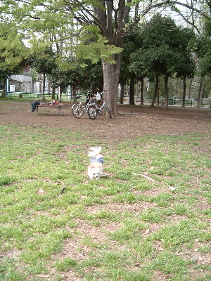 a0079803_23145272.jpg