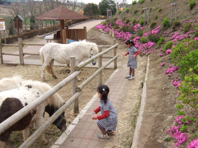 c0157103_1649974.jpg