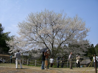 c0076204_23164315.jpg