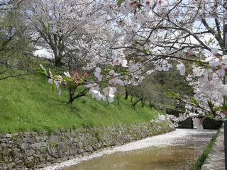 b0061107_17502074.jpg