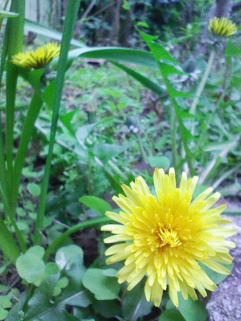 b0019909_1916473.jpg