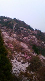f0014209_205487.jpg