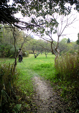 a0052011_20265061.jpg