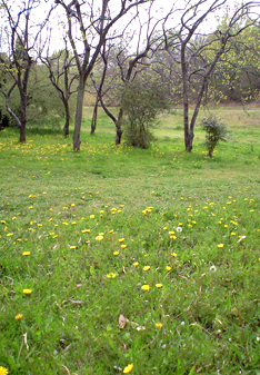 a0052011_20273377.jpg