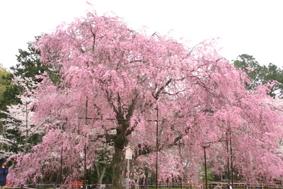 b0131812_14531617.jpg