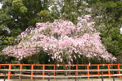 b0131812_1552627.jpg